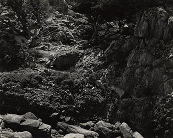 EDWARD WESTON (1886-1958) Eel River Ranch * North Shore, Point Lobos * Cypress, Point Lobos.
